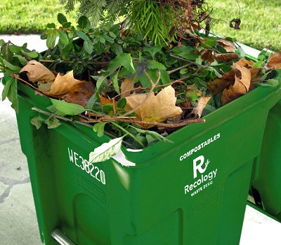 Green Debris Collection Image