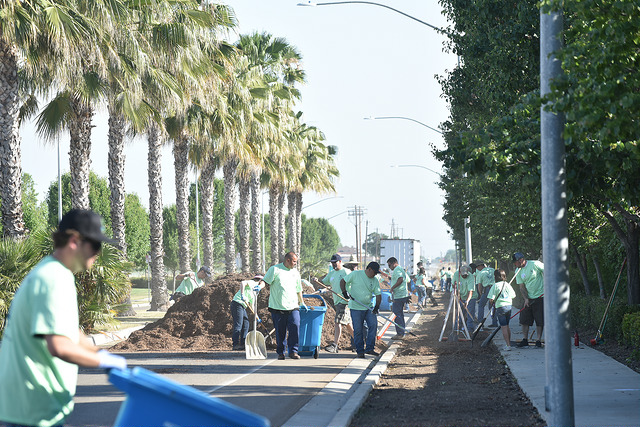 Photo of City of Patterson Community Cleanup