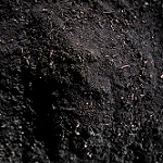Recology Premium Compost
