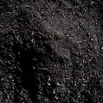 RecologyPremiumCompost