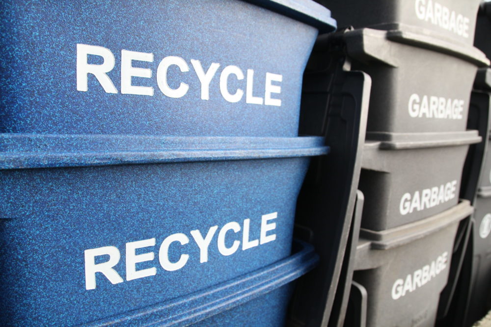 My Recology Service Recology King County Seattle