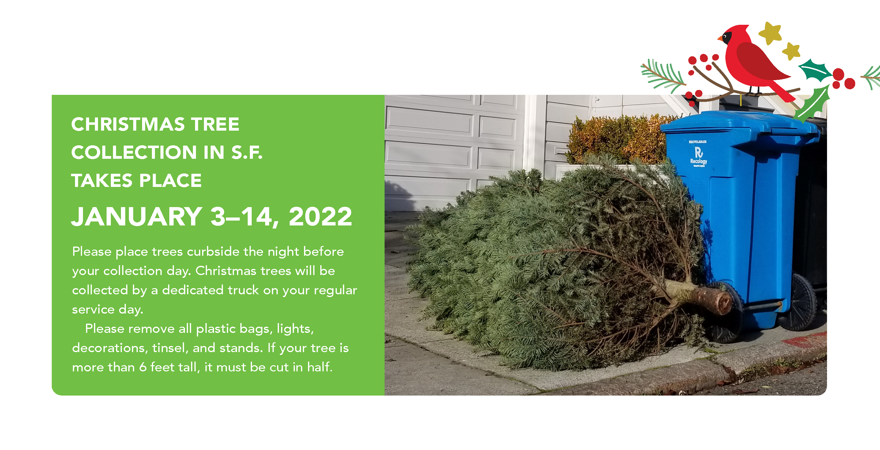 Recology 2022 Christmas Tree Pickup Tree Recycling - Recology