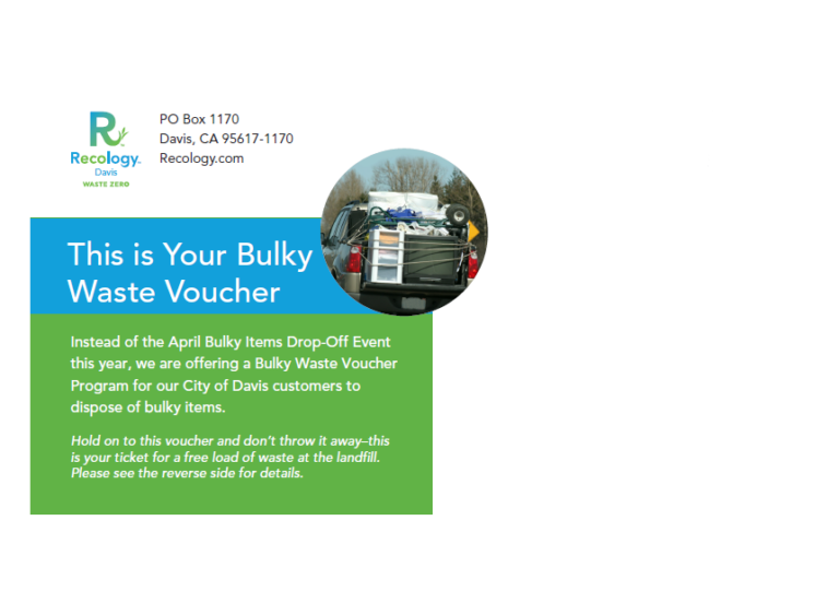 Davis Bulky Waste Voucher 2023 Image