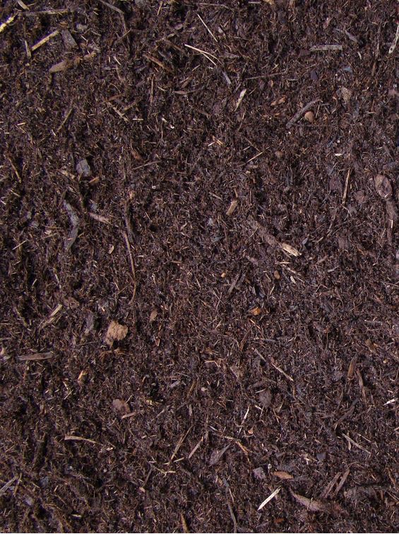 Dark Premium Fir