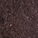 Dark Fir Dust Bark