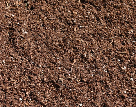 Potting Soil