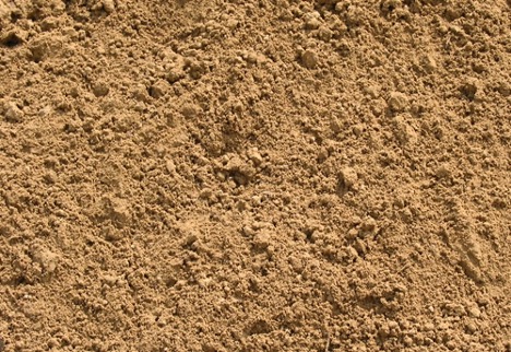 Sandy Loam (Topsoil)
