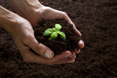 Compost Giveaways 2025 Image