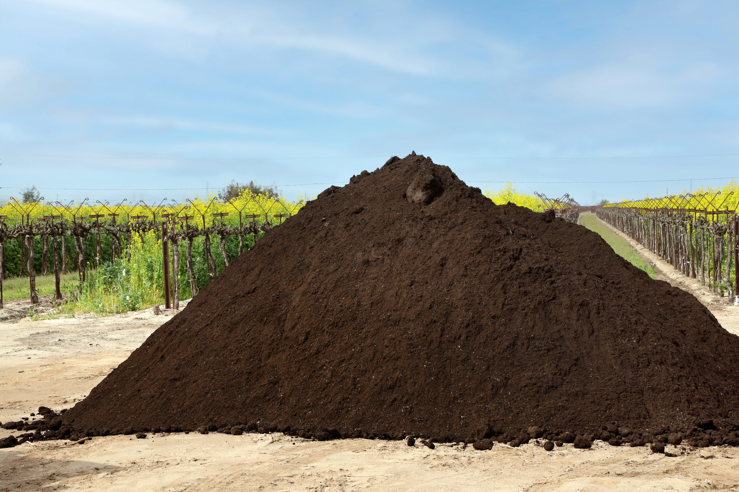 https://www.recology.com/wp-content/uploads/2021/11/REC_COMPOST_6918F-scaled.jpg