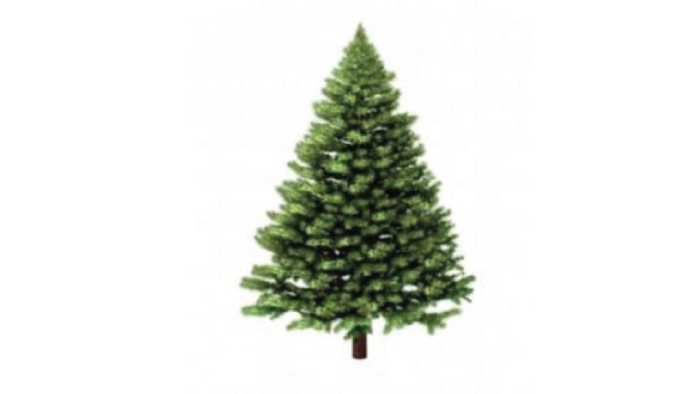 Holiday Bulky/Tree Pickups Image