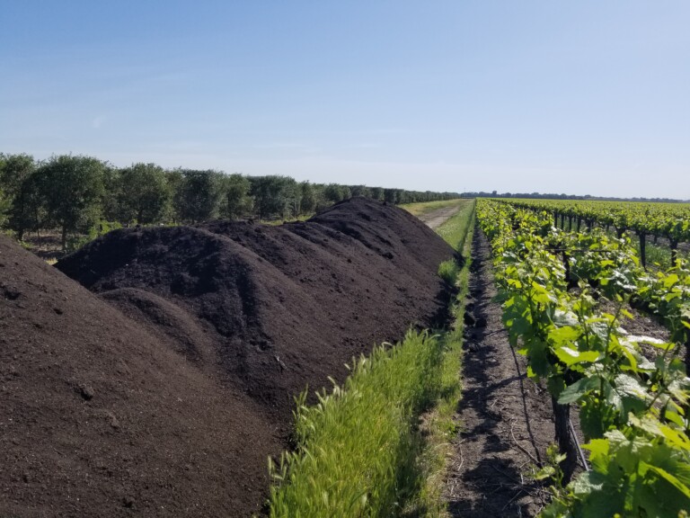 Growing in garbage: Bay Area farmers turning green waste to gold while helping the planet Image