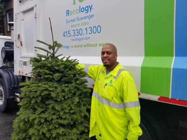 Recology gives SF residents’ Christmas tree a second act Image