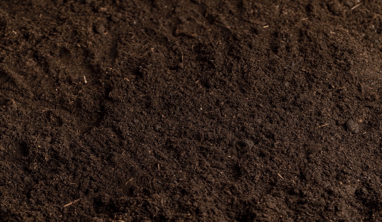 Recology Premium Compost