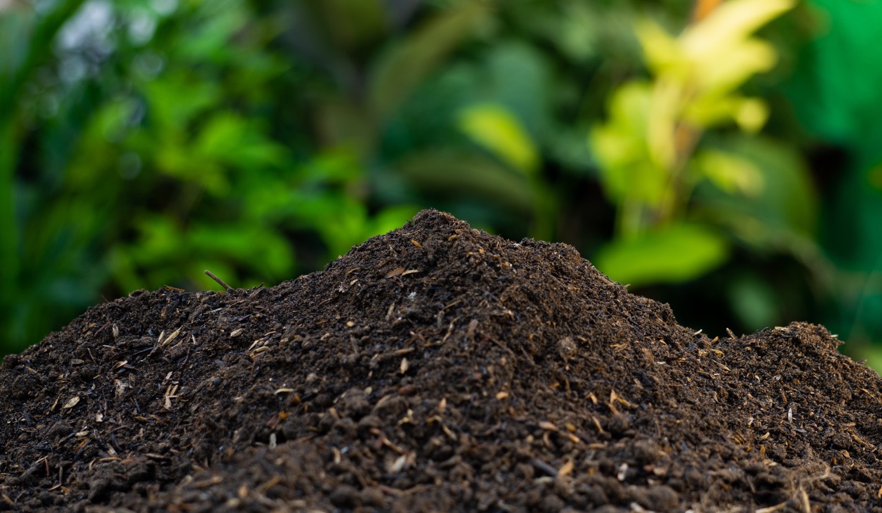 Soil blend