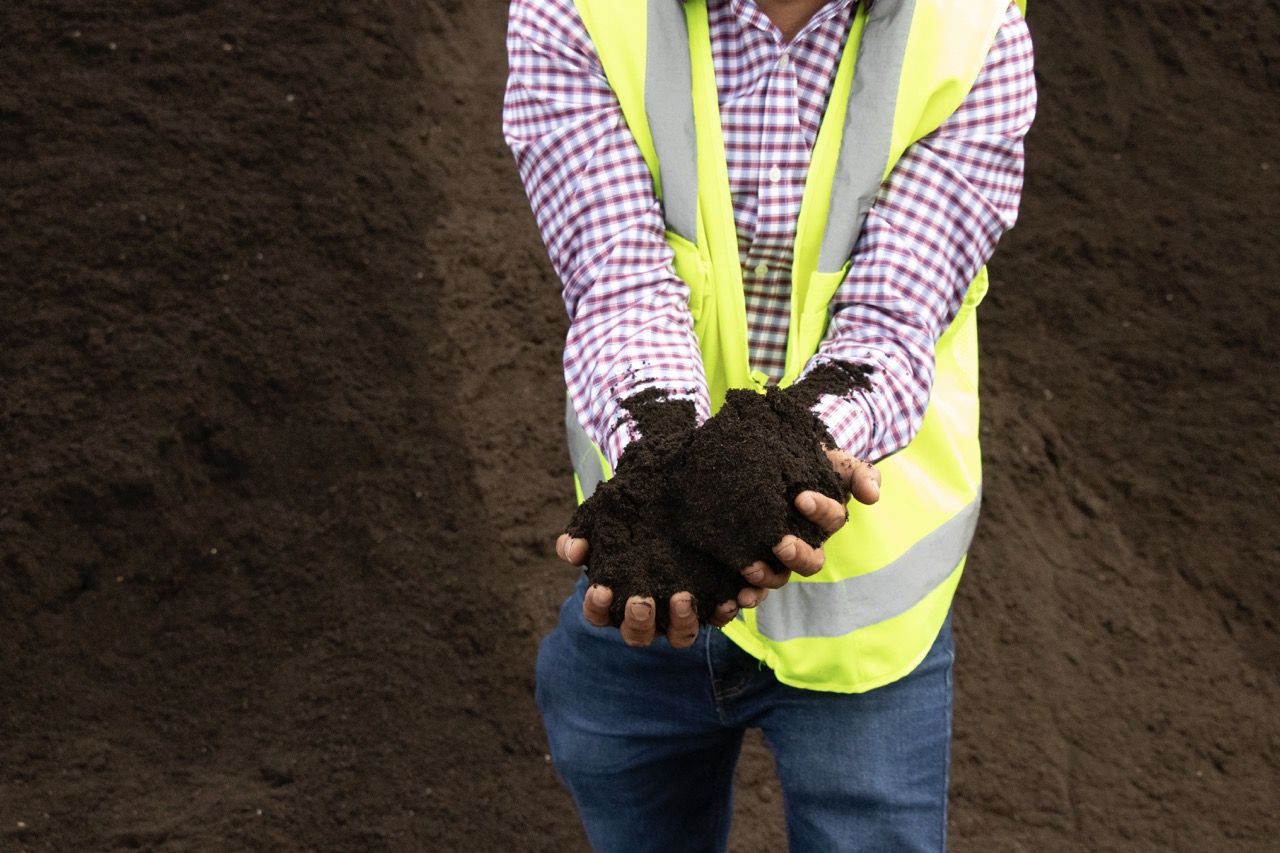 Compost in hands