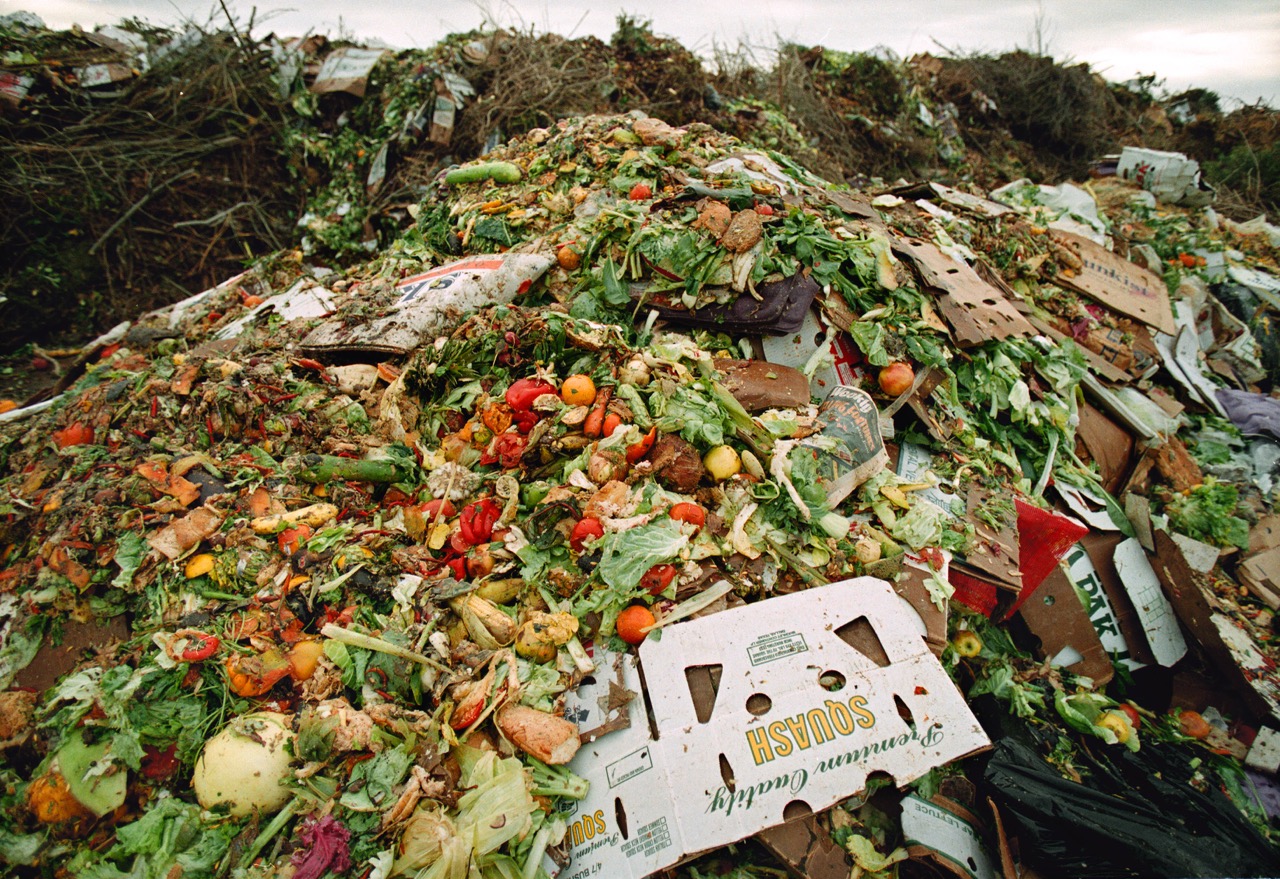 Compost