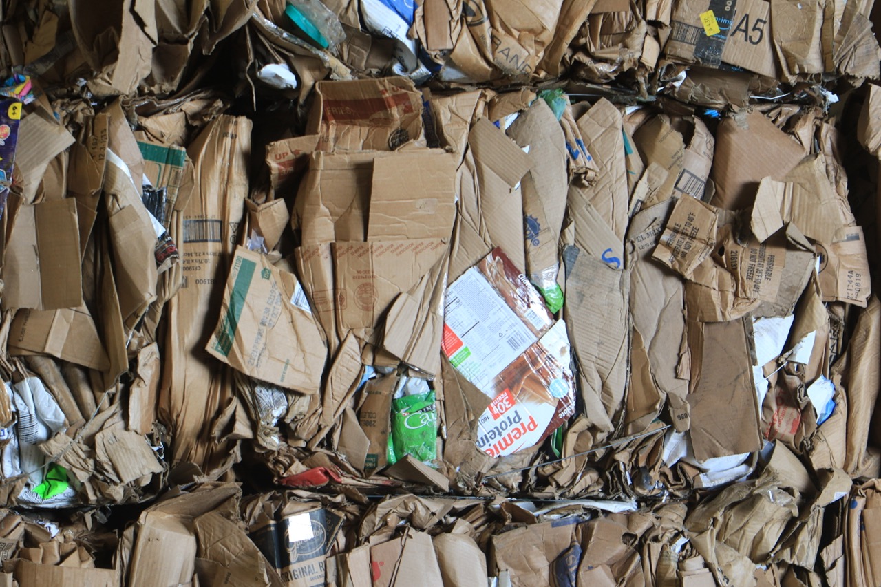 cardboard