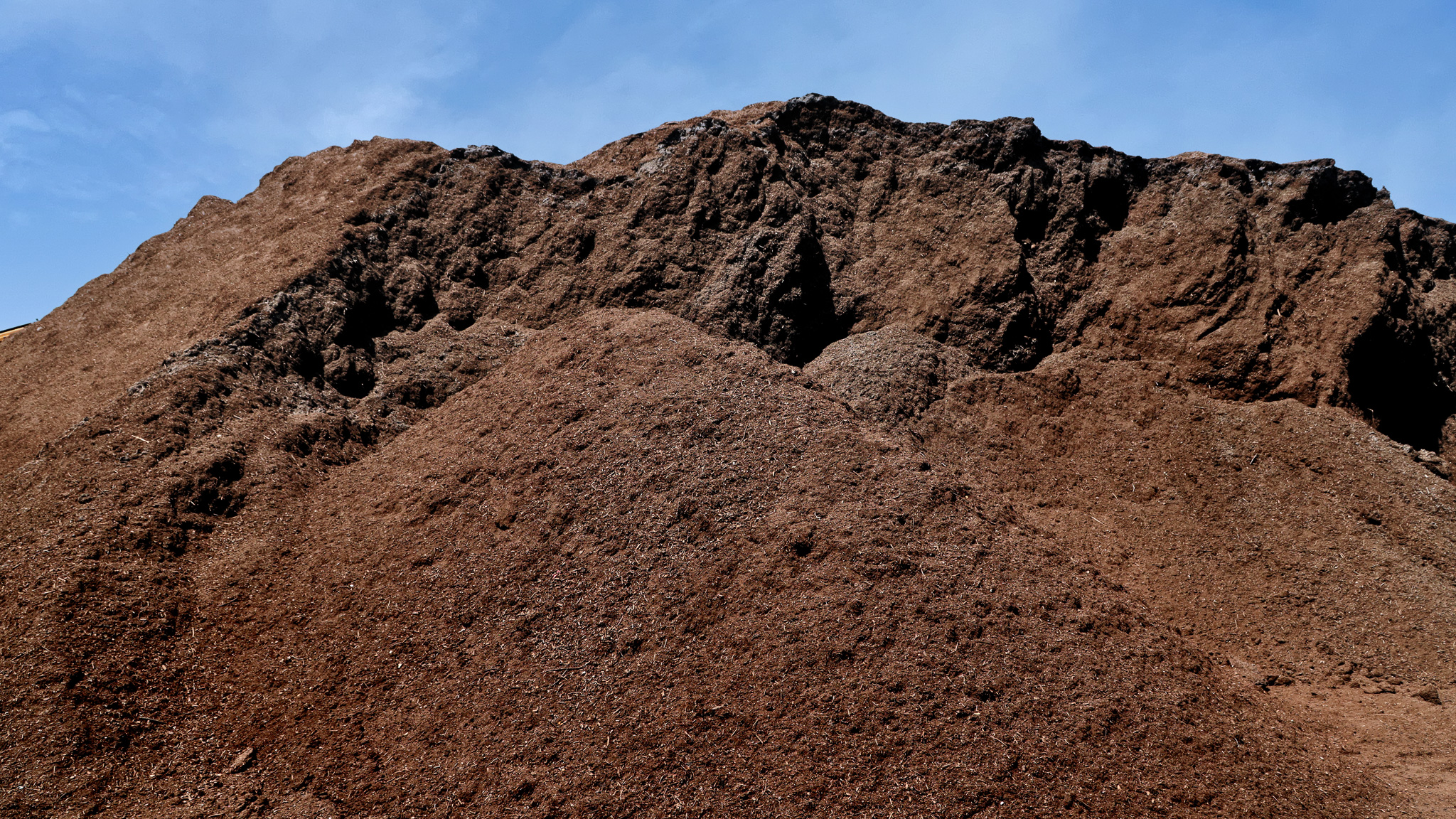 Compost Pile