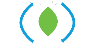 sustainability options